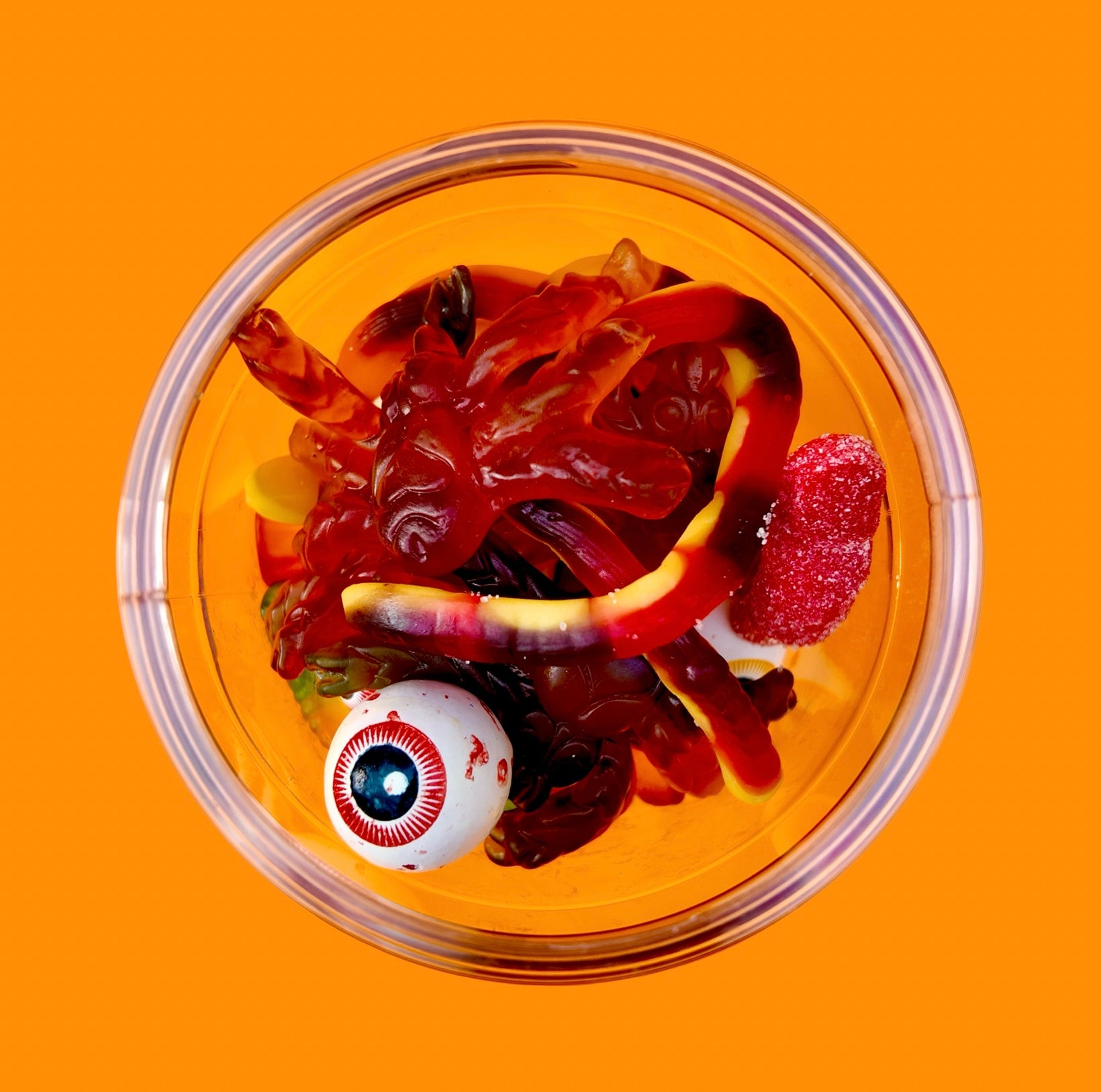 Libra y Media Terror